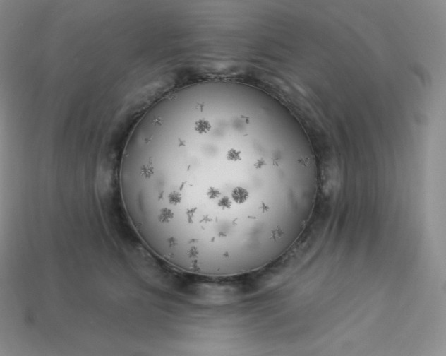 X0000113920515200910090939
