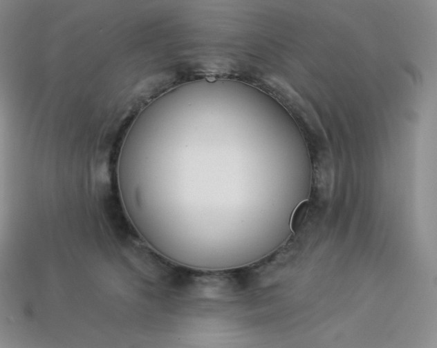 X0000113920516200910090939