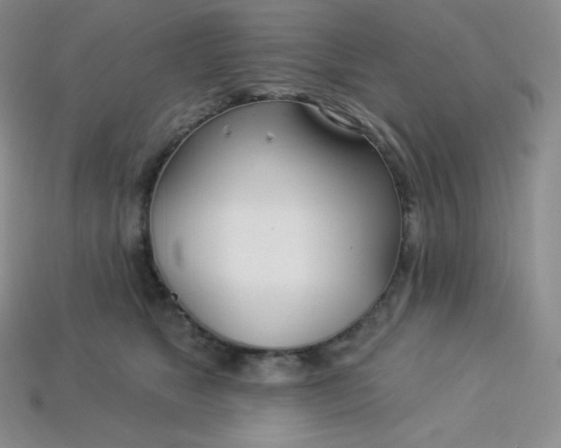 X0000113920517200910090939