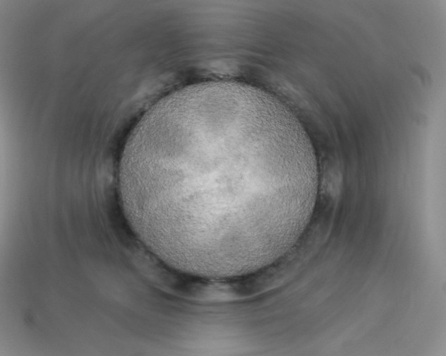X0000113920518200910090939