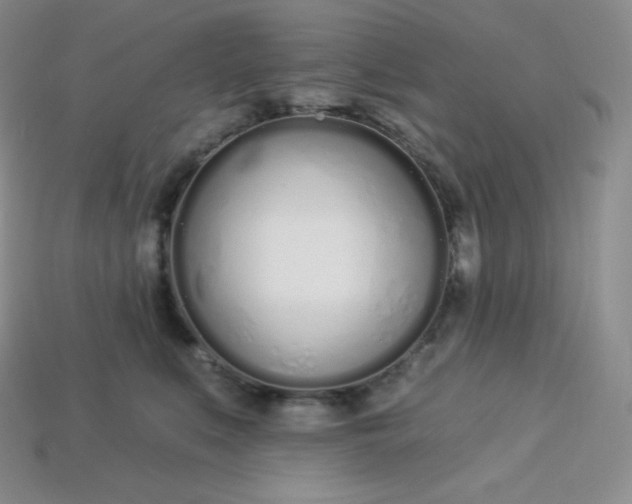 X0000113920519200910090939