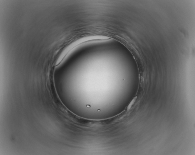 X0000113920520200910090939