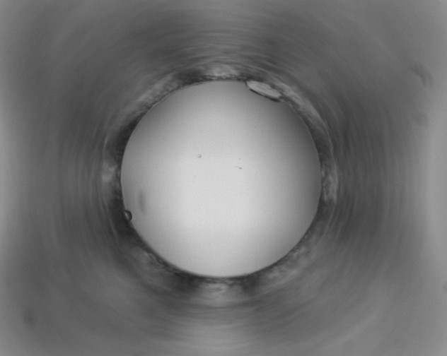 X0000113920521200910090939