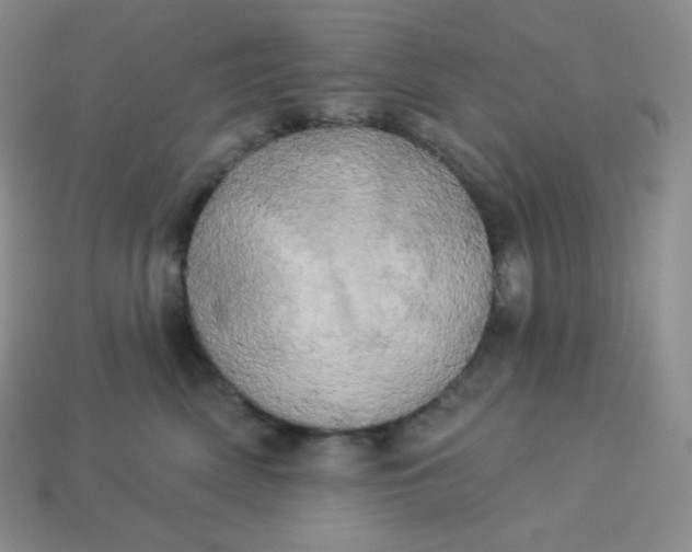 X0000113920522200910090939