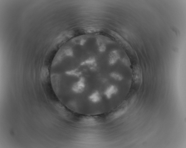 X0000113920523200910090939