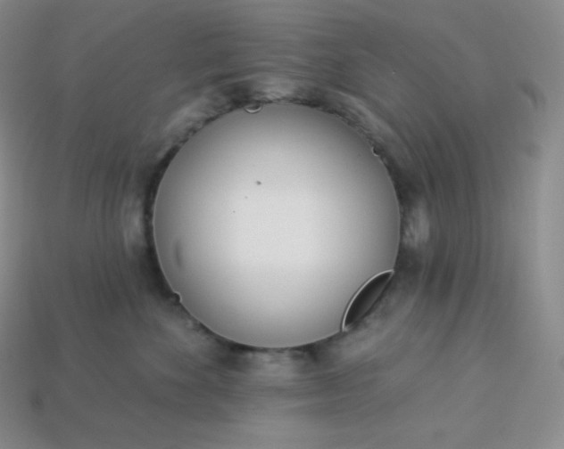 X0000113920524200910090939