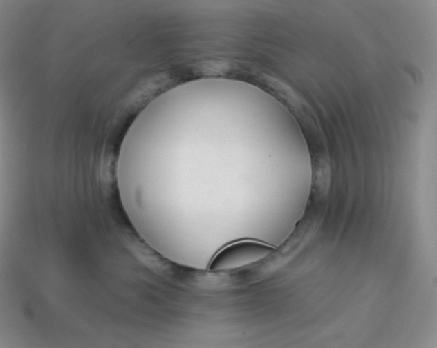 X0000113920525200910090939