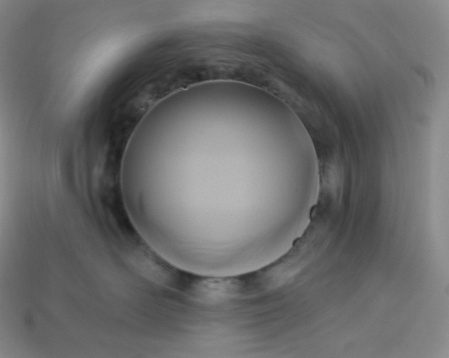 X0000113920526200910090939