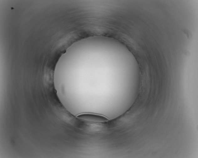 X0000113920528200910090939
