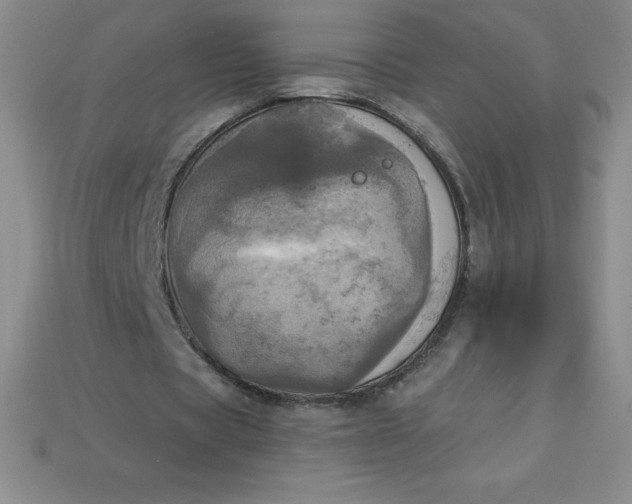 X0000113920529200910090938