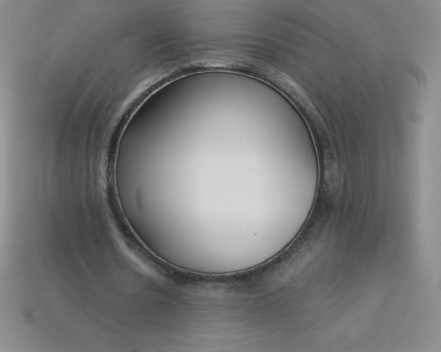 X0000113920530200910090938