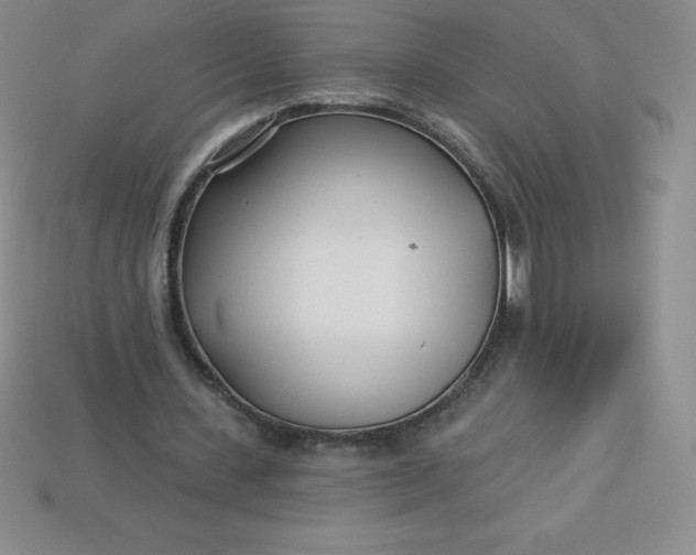X0000113920531200910090938
