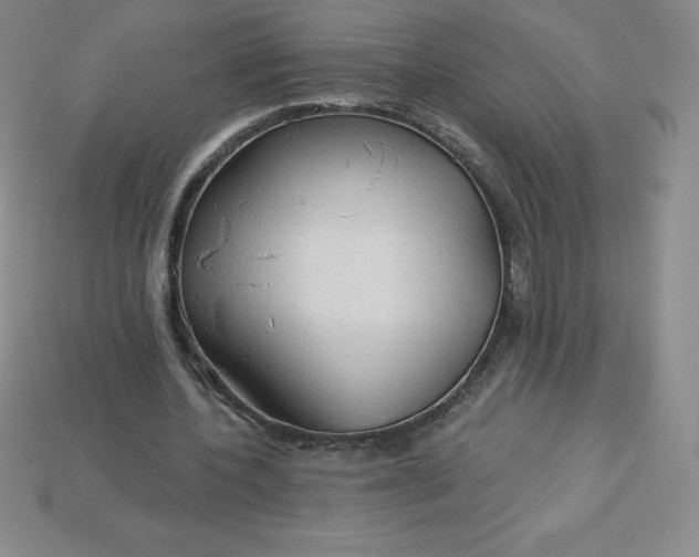 X0000113920532200910090938