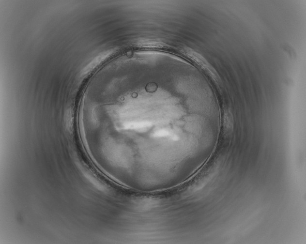 X0000113920533200910090938