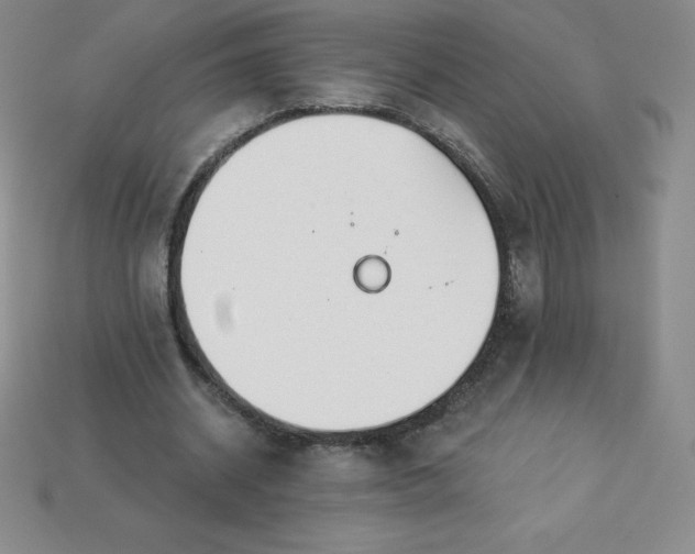X0000113920534200910090938