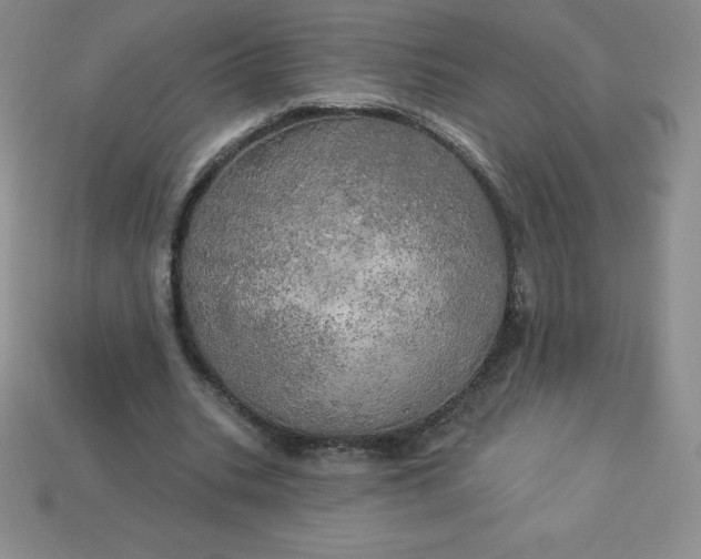 X0000113920535200910090938