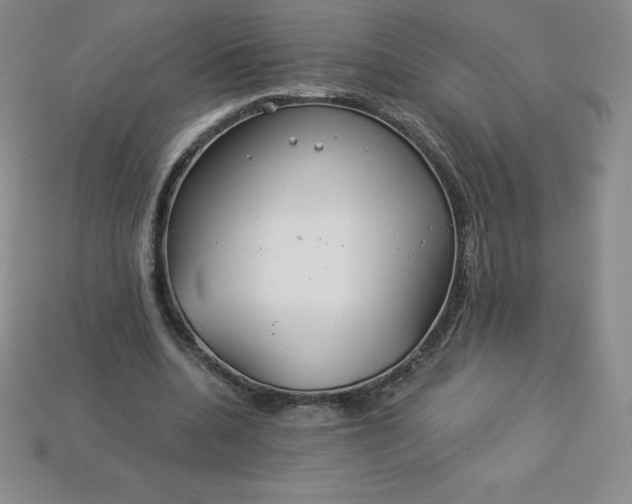 X0000113920536200910090938