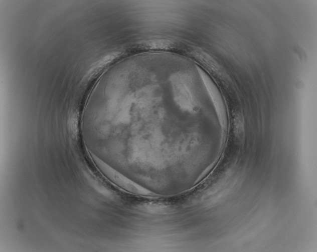X0000113920537200910090938