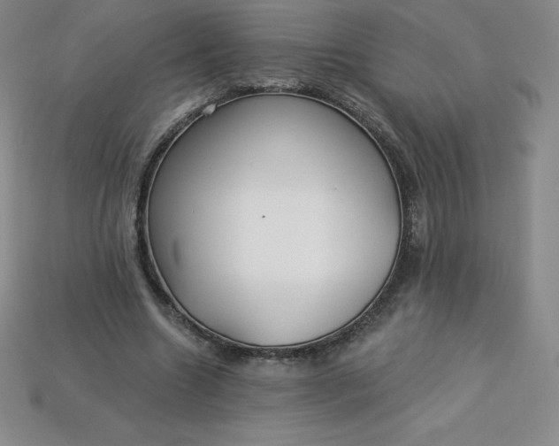 X0000113920538200910090938
