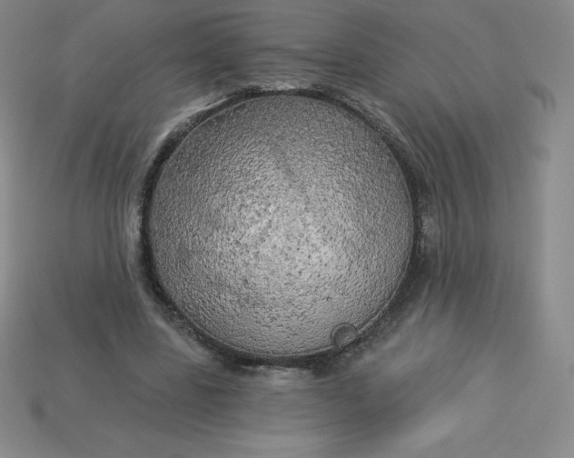 X0000113920539200910090938