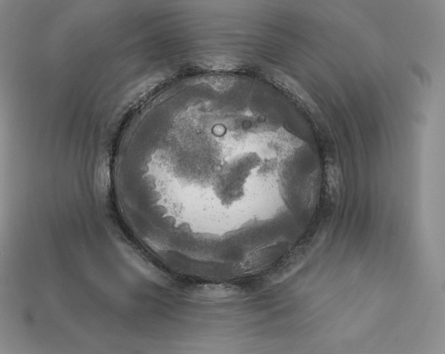 X0000113920541200910090938