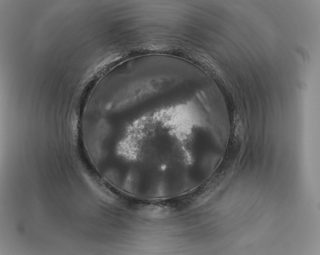 X0000113920542200910090938