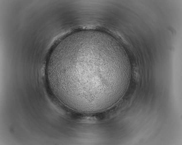 X0000113920543200910090938