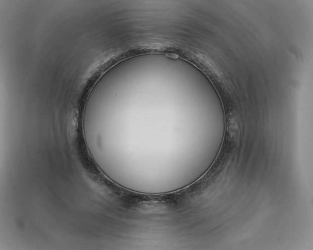 X0000113920544200910090938