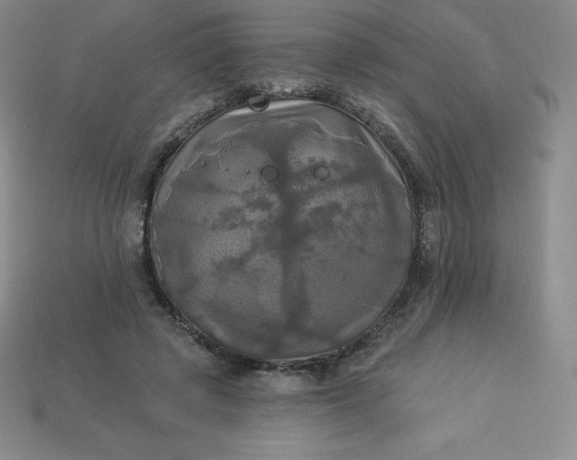 X0000113920545200910090938