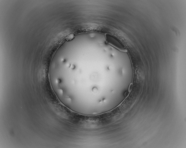 X0000113920546200910090938