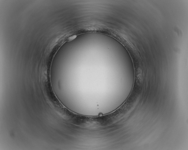 X0000113920547200910090938