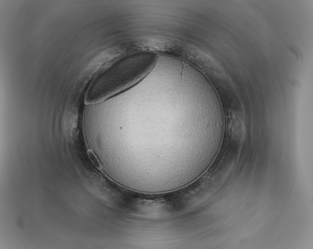 X0000113920548200910090938