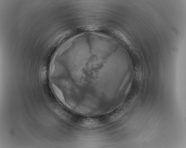 X0000113920549200910090938