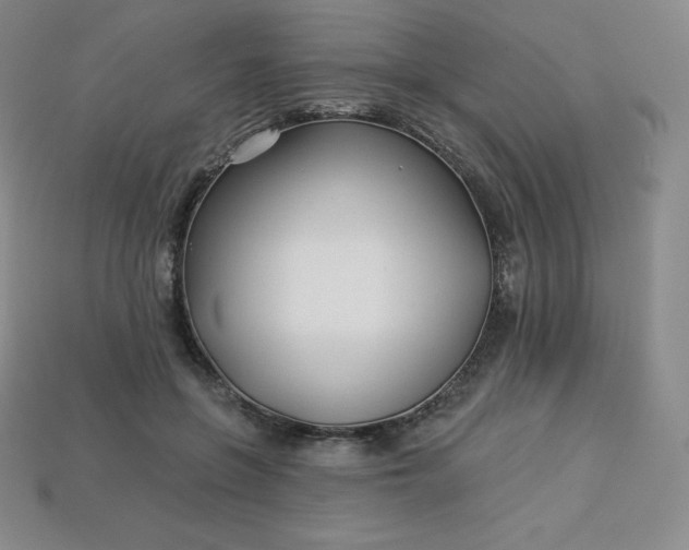 X0000113920551200910090938