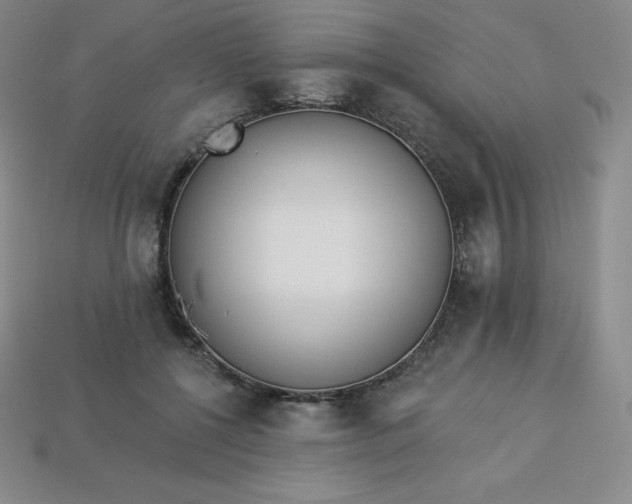 X0000113920552200910090938
