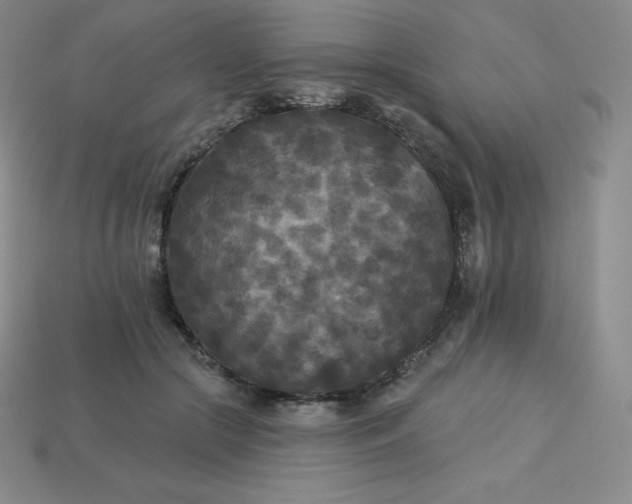 X0000113920553200910090938