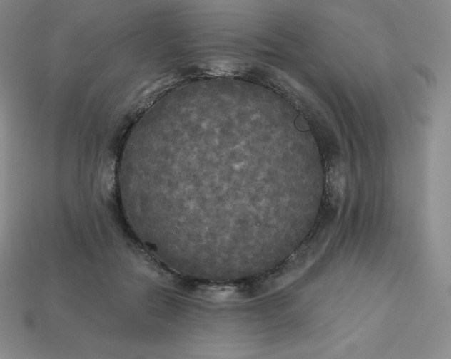X0000113920554200910090938