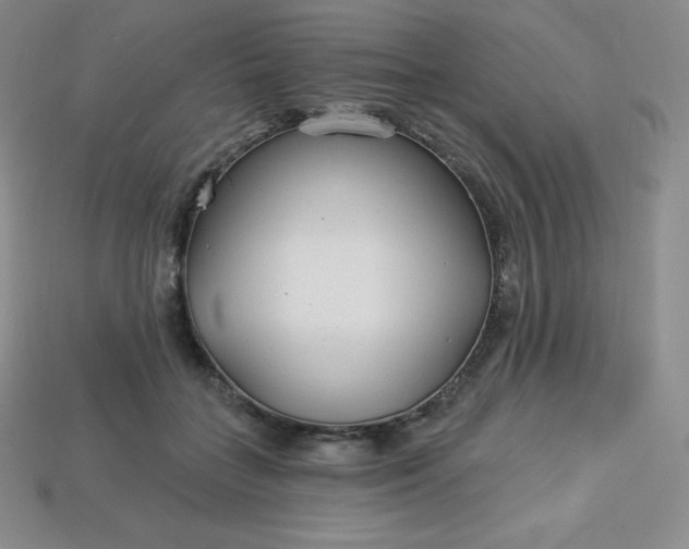 X0000113920555200910090938
