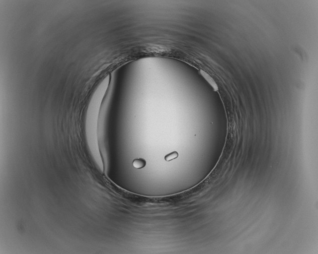 X0000113920556200910090938
