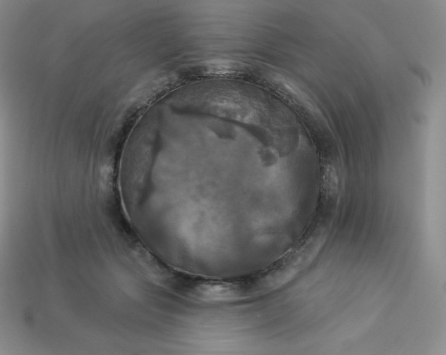 X0000113920557200910090938