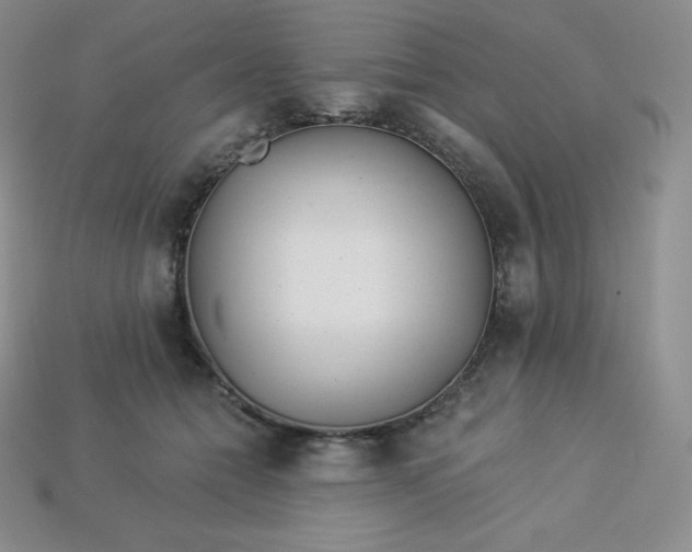 X0000113920558200910090938