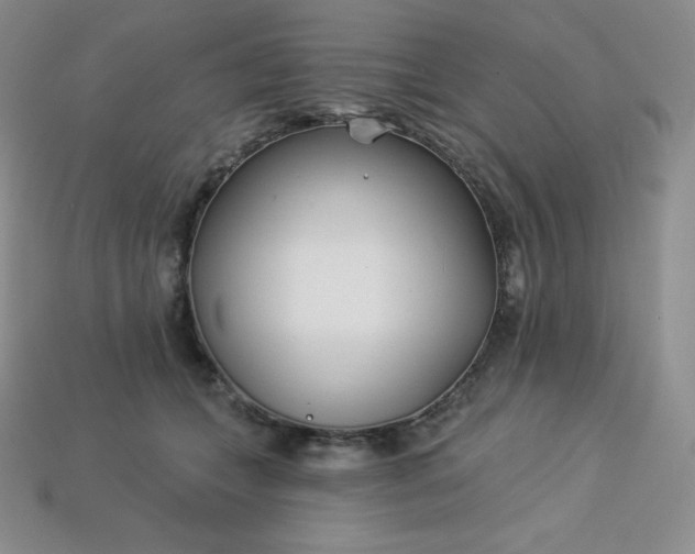 X0000113920559200910090938