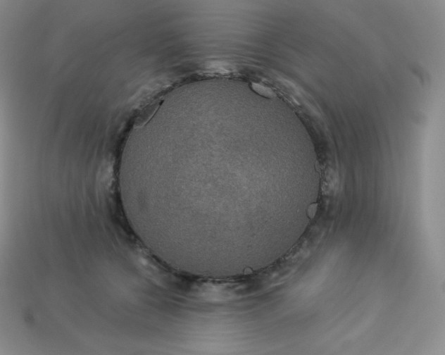 X0000113920560200910090938