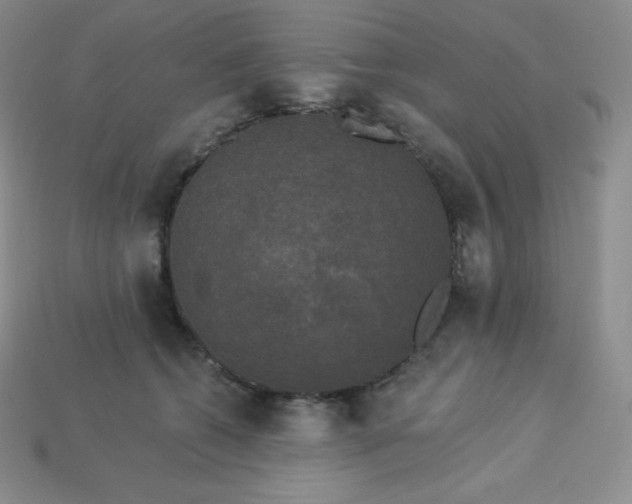 X0000113920562200910090938