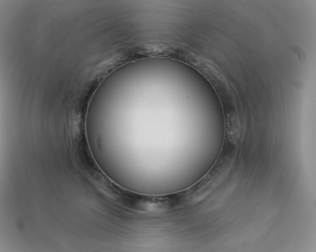 X0000113920563200910090938
