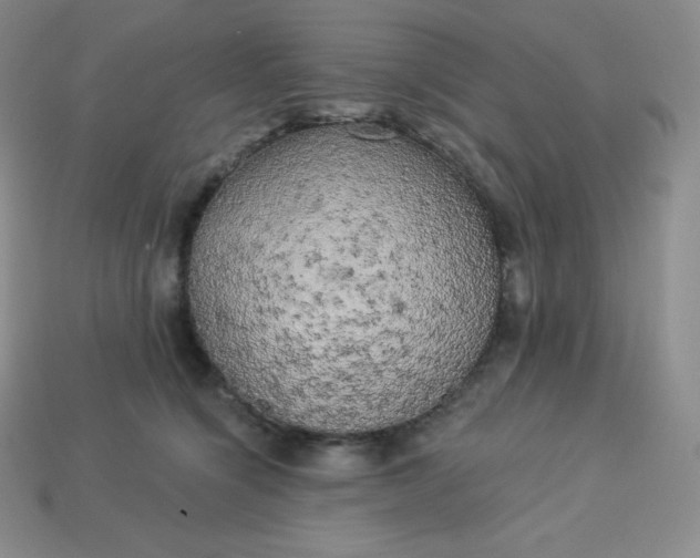 X0000113920564200910090938