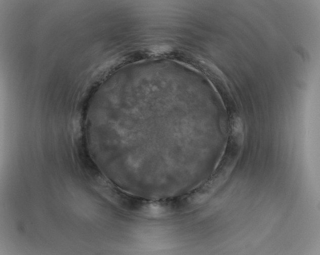 X0000113920565200910090938