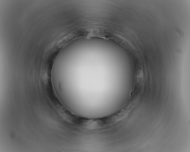 X0000113920566200910090938