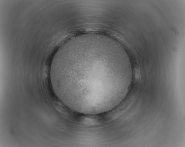 X0000113920567200910090939
