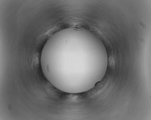 X0000113920570200910090939